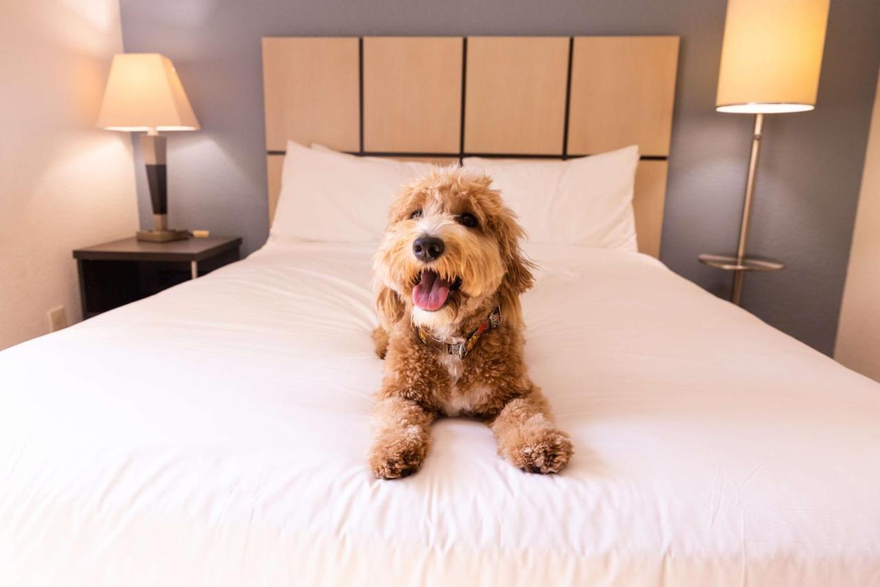 Sonesta Simply Suites Boston Braintree Extérieur photo